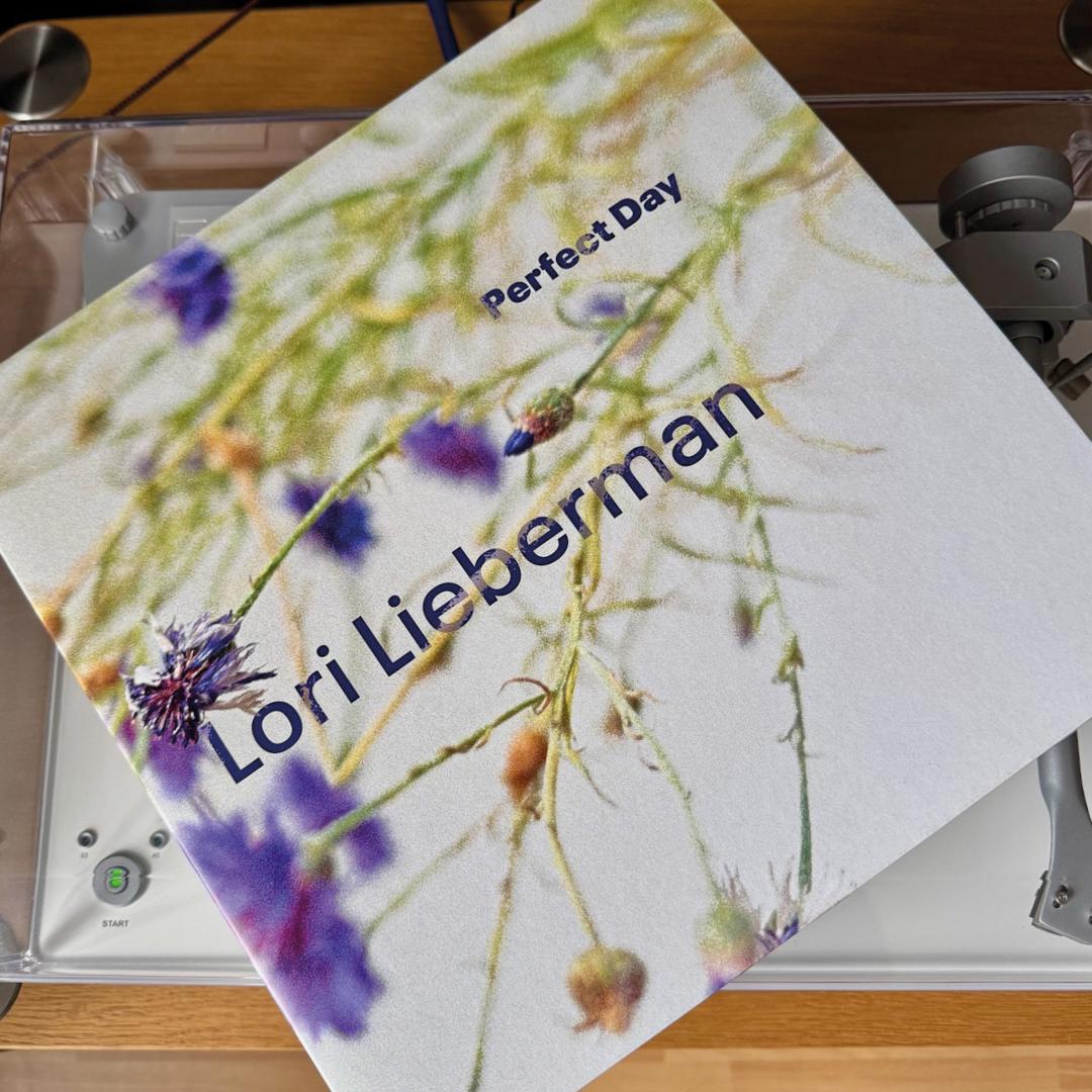 Platte Lori Liebermann – Perfect Day (LowSwing Records) im Test, Bild 